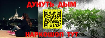 mdpv Лесосибирск