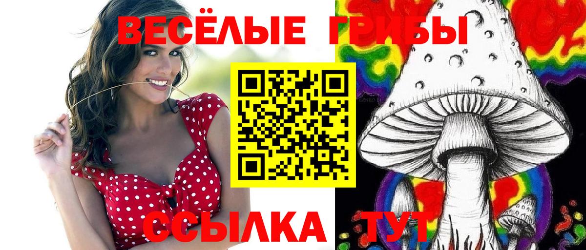 Дивногорск  Псилоцибиновые грибы прущие грибы  Вход с VPN 